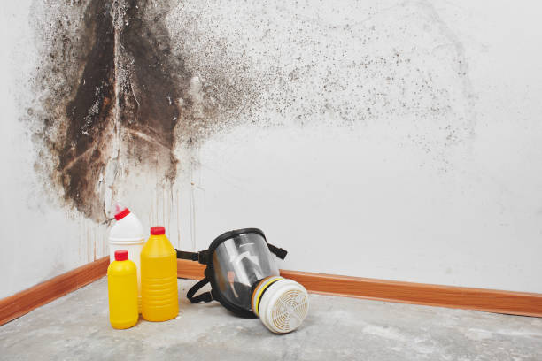 Monroe, UT Mold Remediation Company