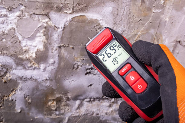 Best Mold Remediation for Specific Building Types in Monroe, UT